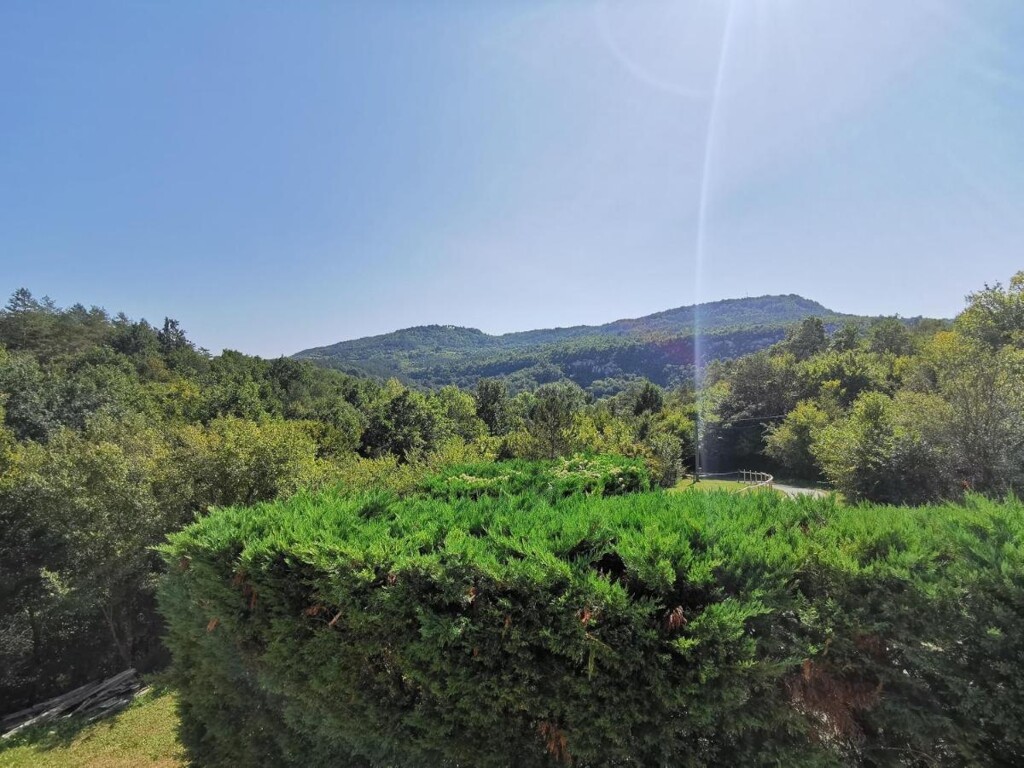Image 6093620 - 25