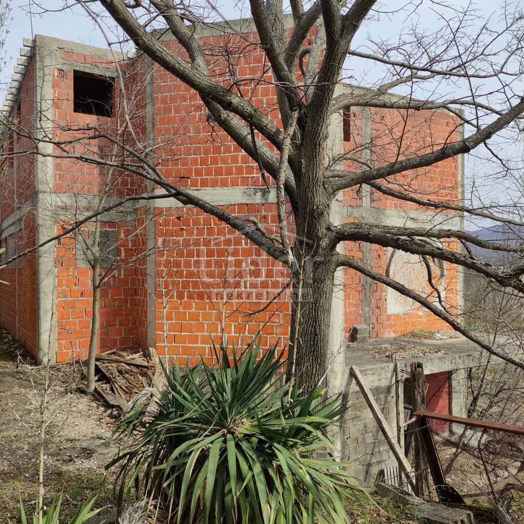 Image 15