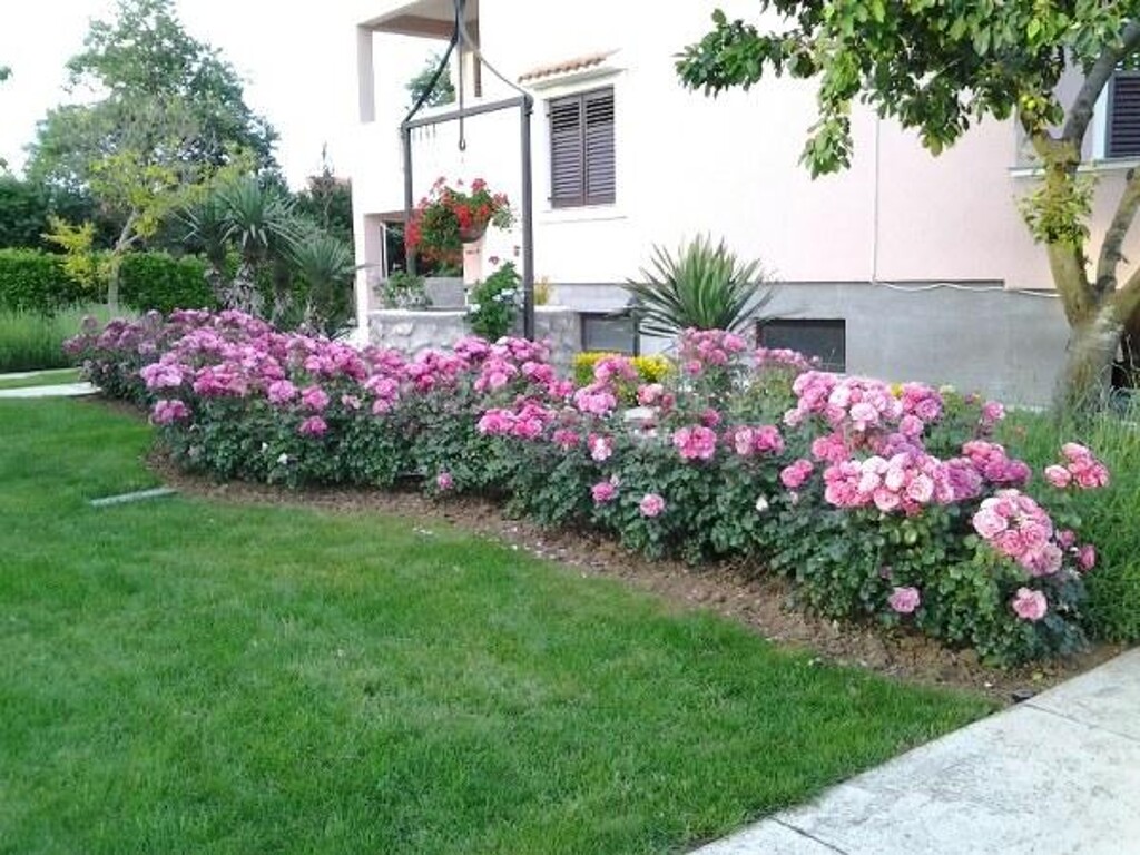 Image 3813112 - 5