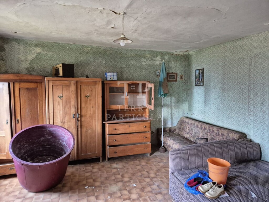 Image 19