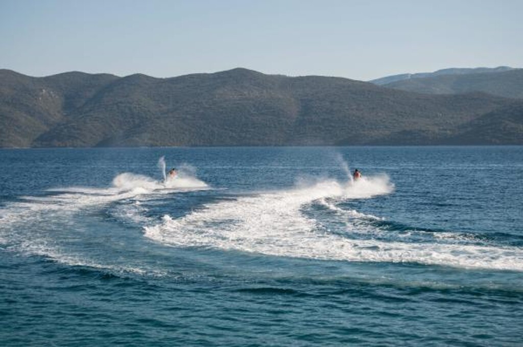 Image 3811477 - 21