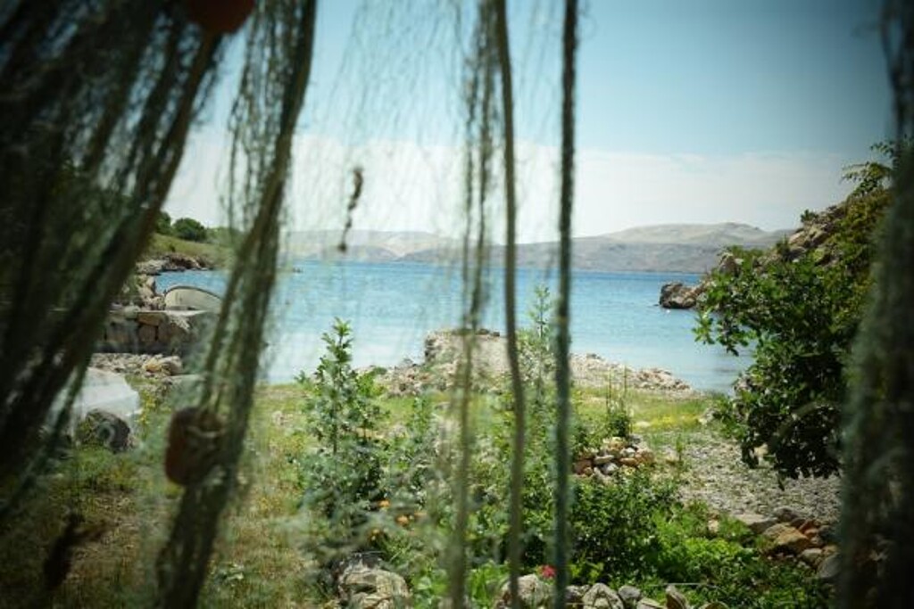 Image 3810922 - 8