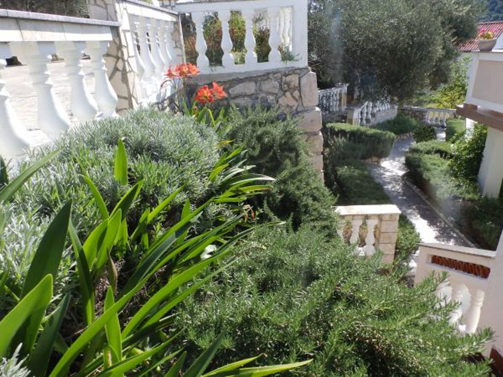 Image 3838856 - 8