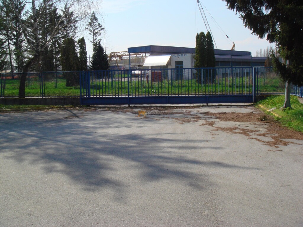 Image 4