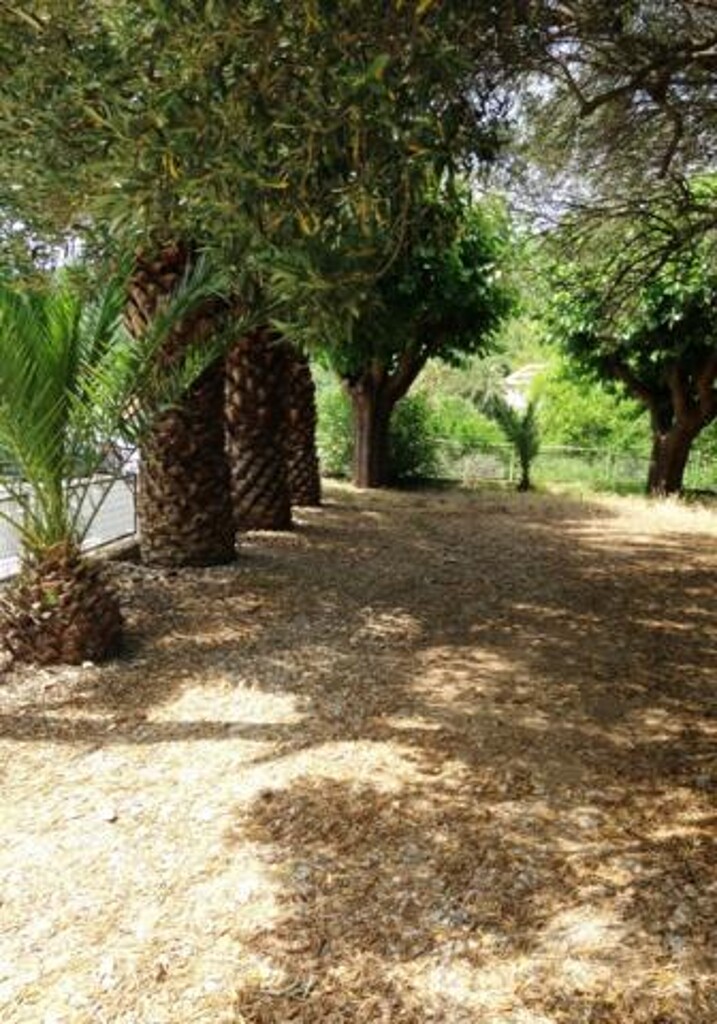 Image 3811420 - 12