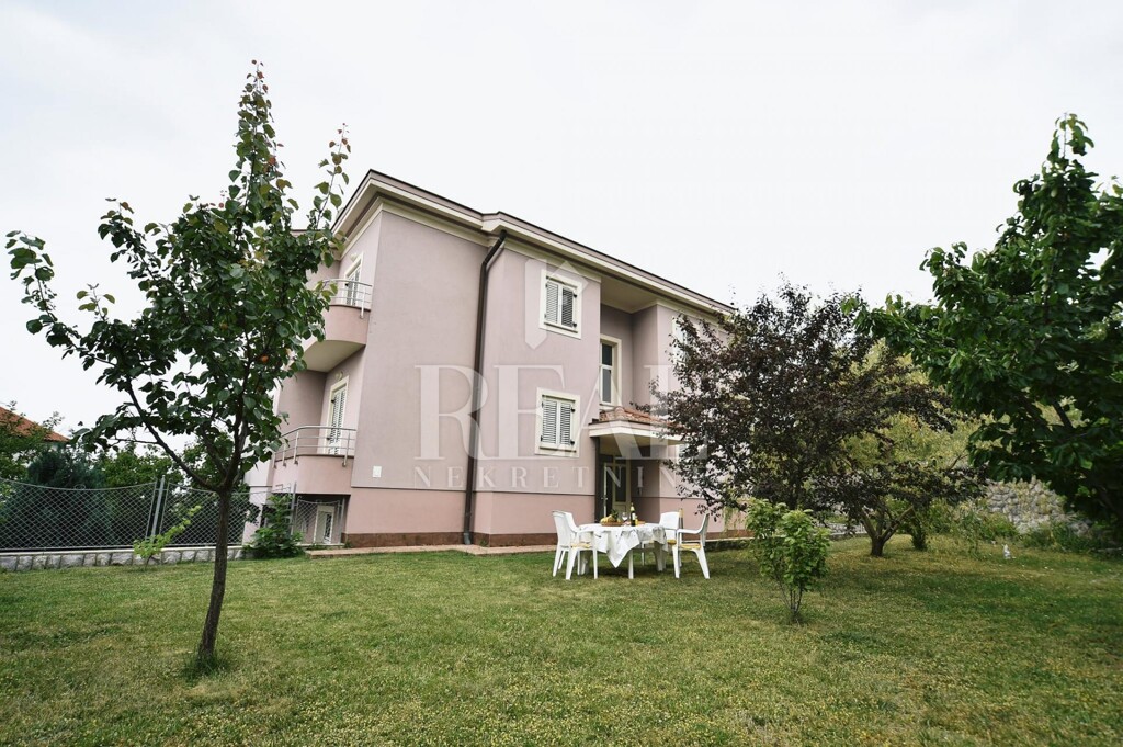 Image 19