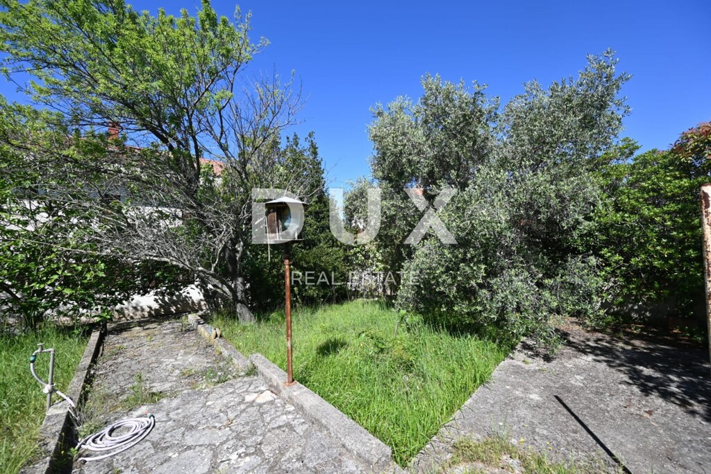 Image 23