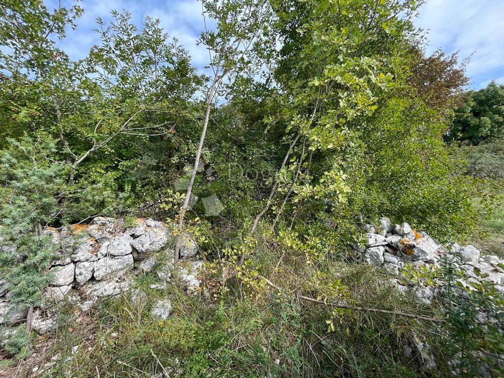 Image 21