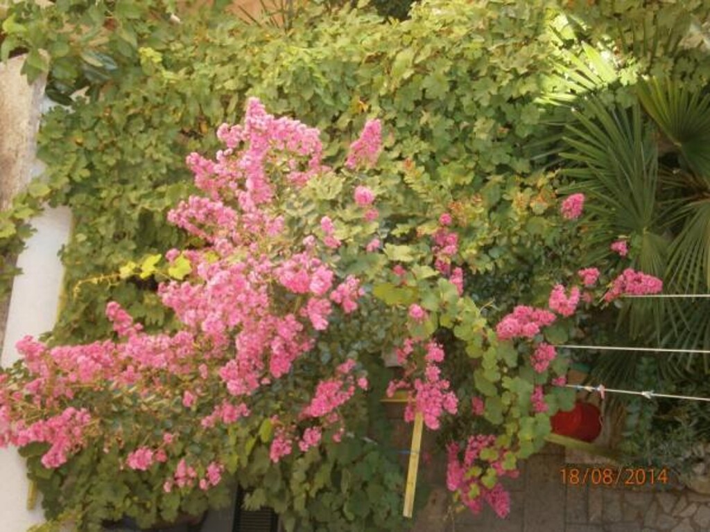Image 3838929 - 7