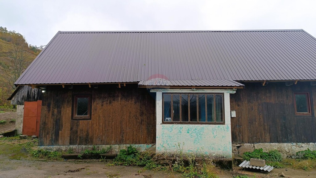 Image 6135858 - 5