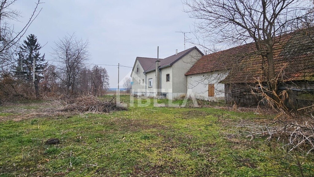 Image 13