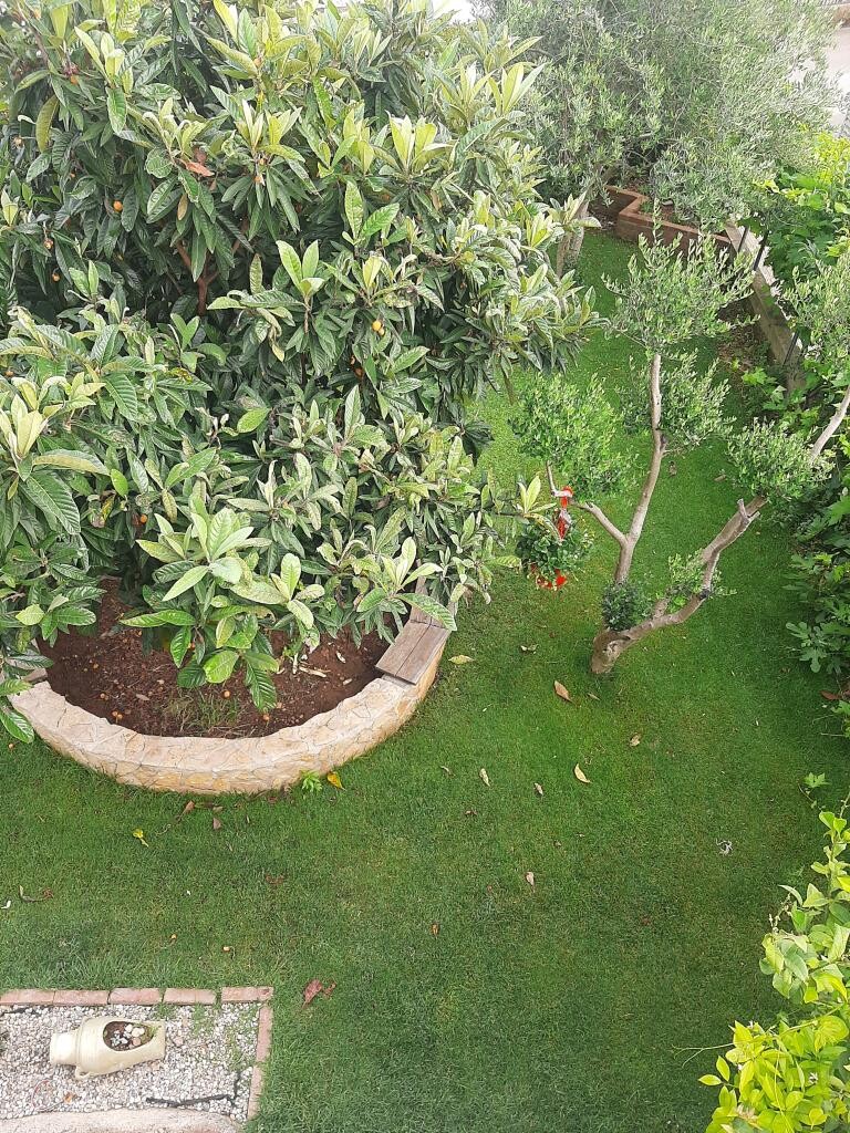 Image 4686761 - 14