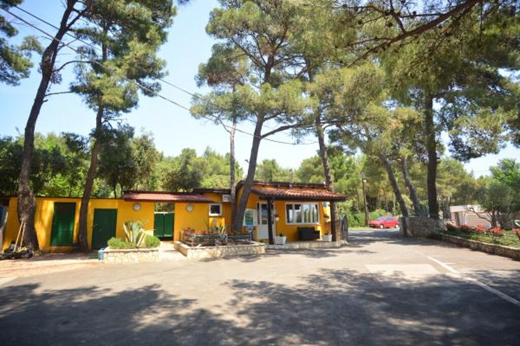 Image 3810601 - 3