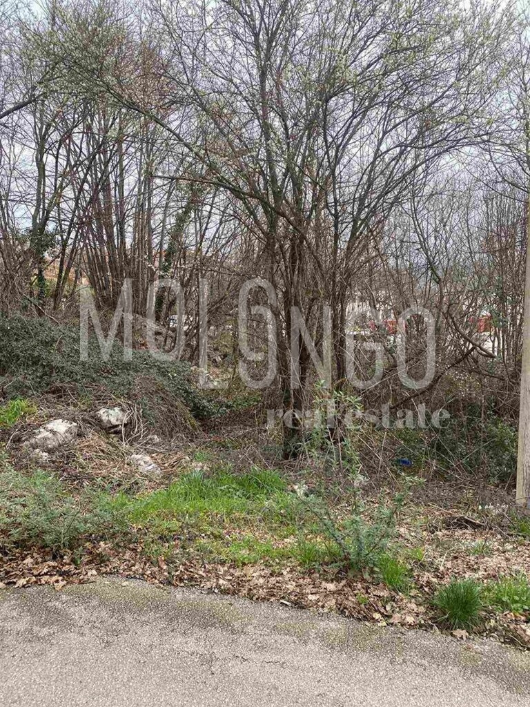 Image 6249311 - 3