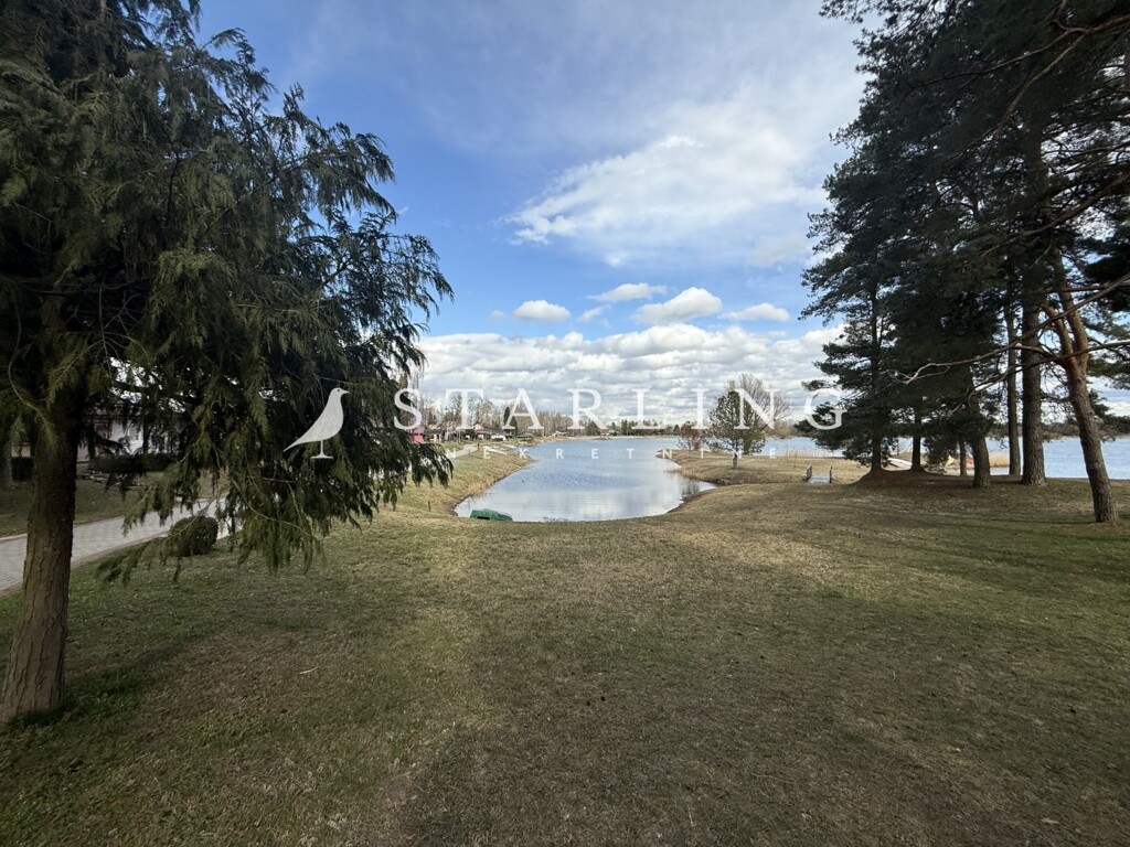 Image 20