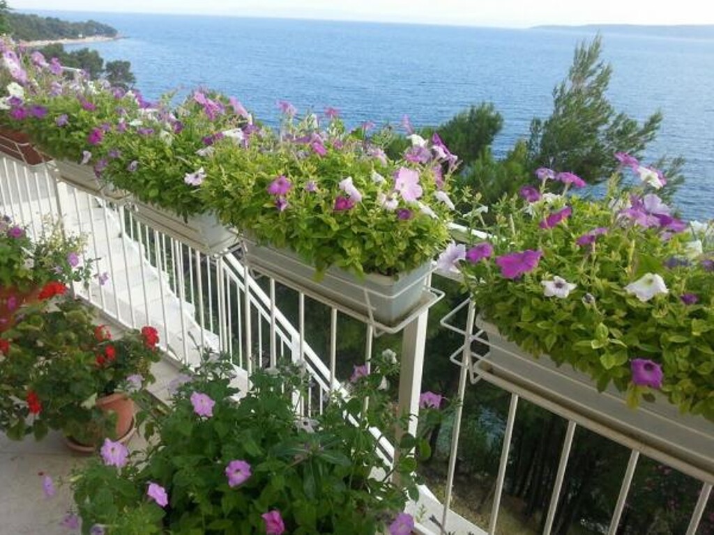 Image 3838512 - 26