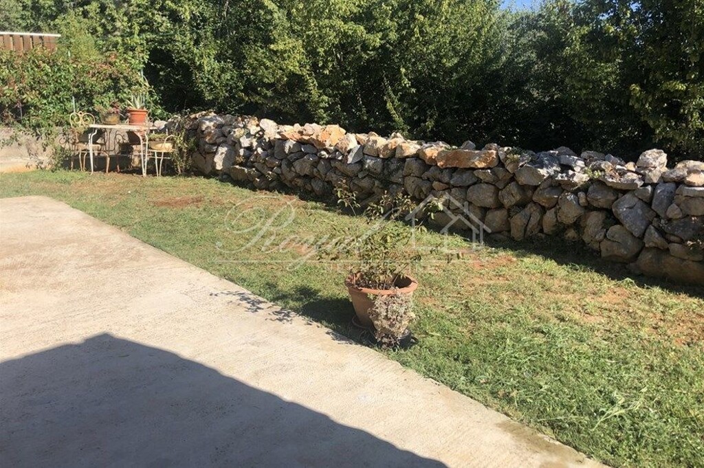 Image 13
