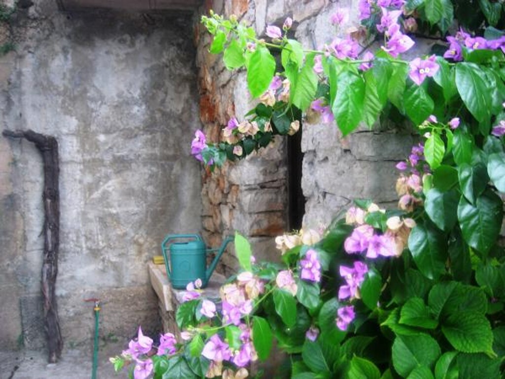 Image 3813845 - 3