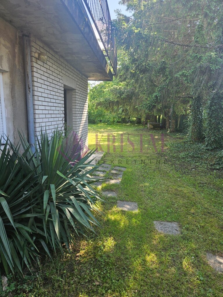 Image 33