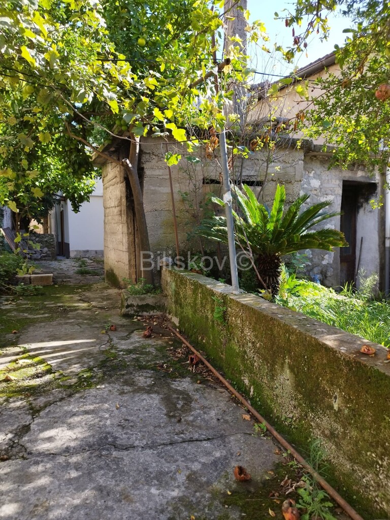 Image 6218126 - 8