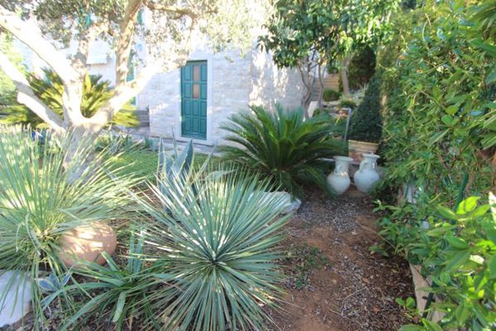 Image 3831978 - 7