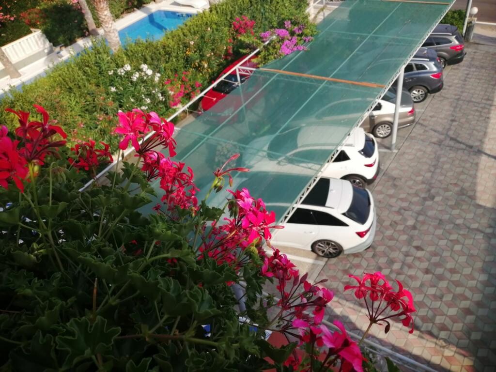 Image 3814118 - 8