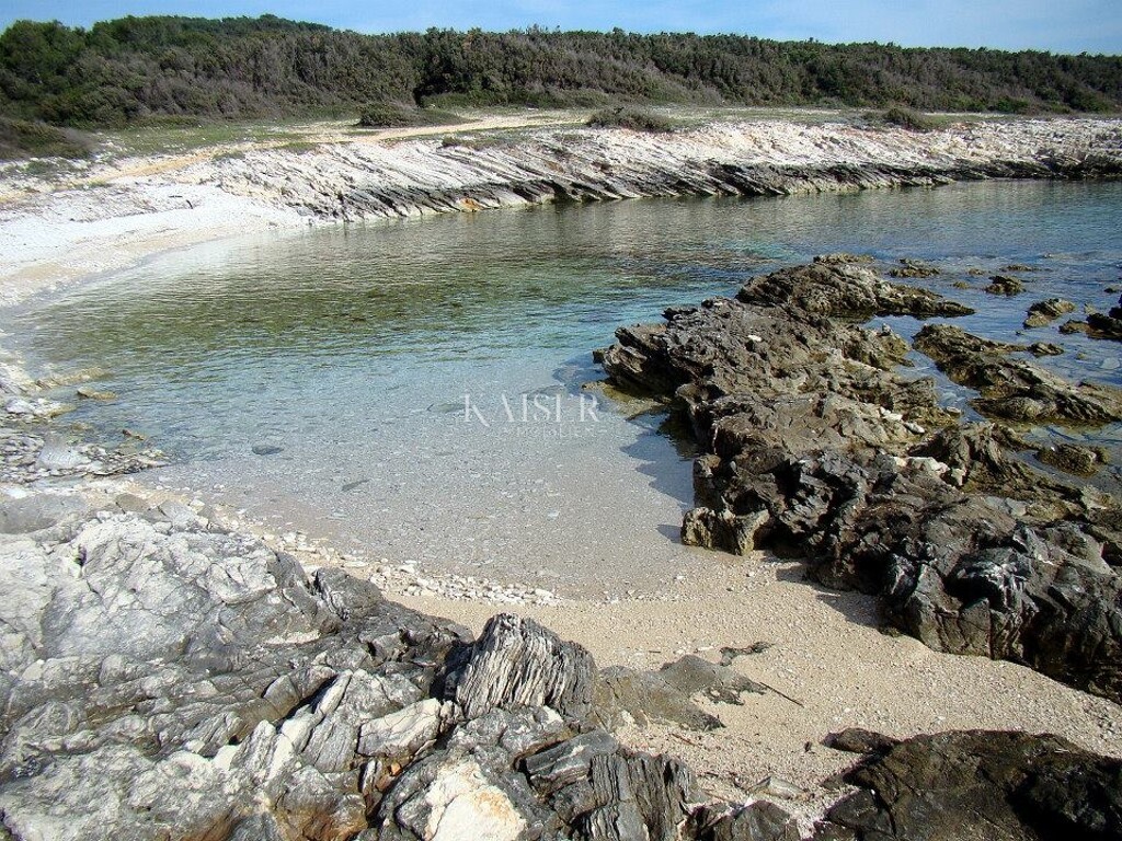 Image 13