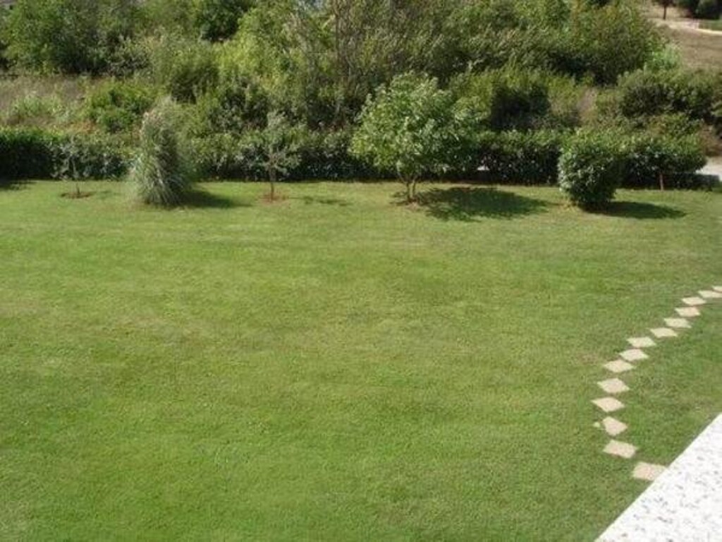 Image 3812691 - 3