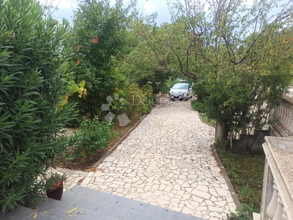 Image 15