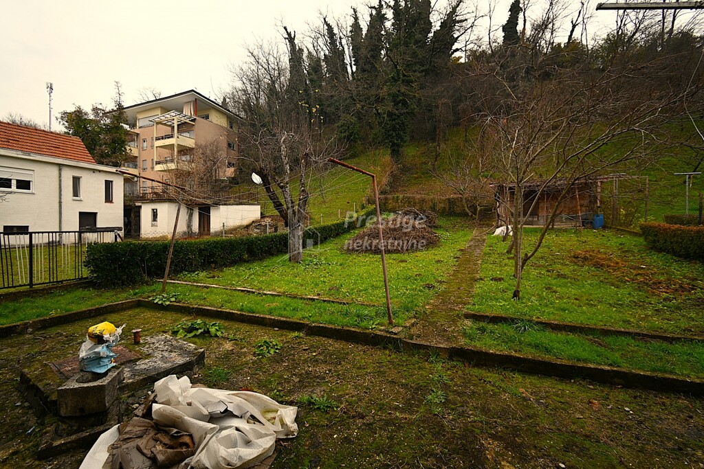 Image 15