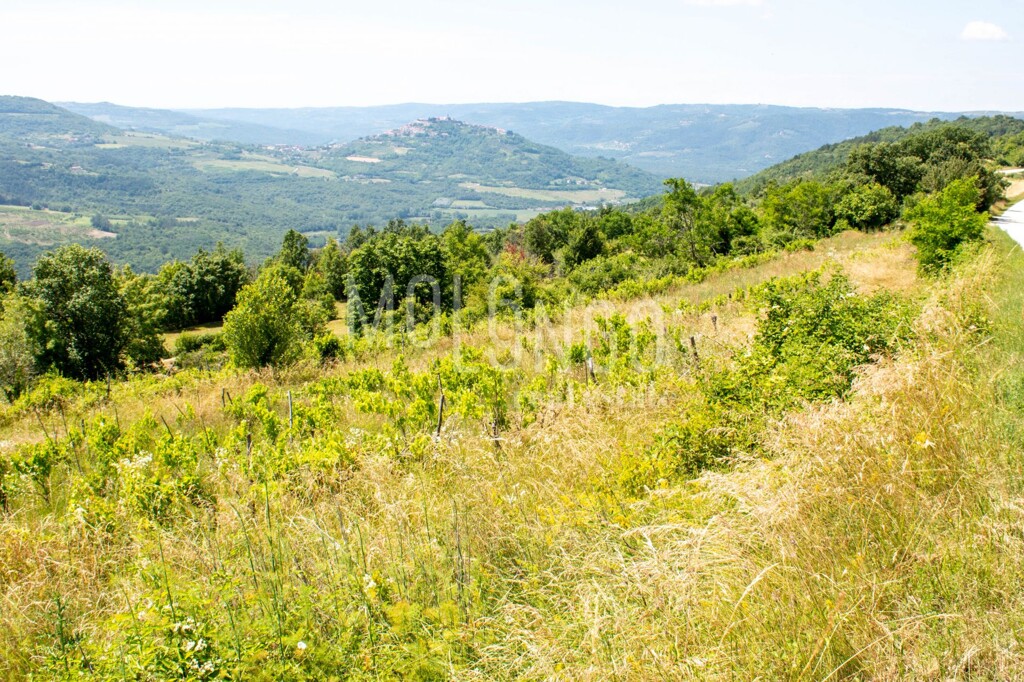 Image 6332021 - 6
