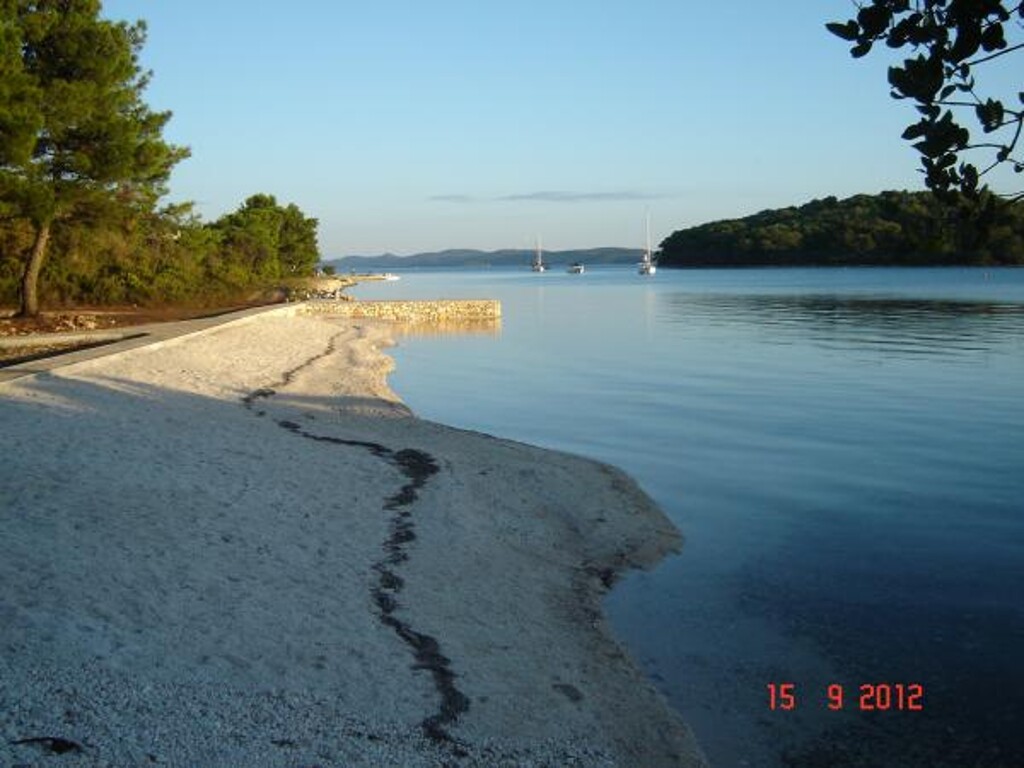 Image 3812144 - 6