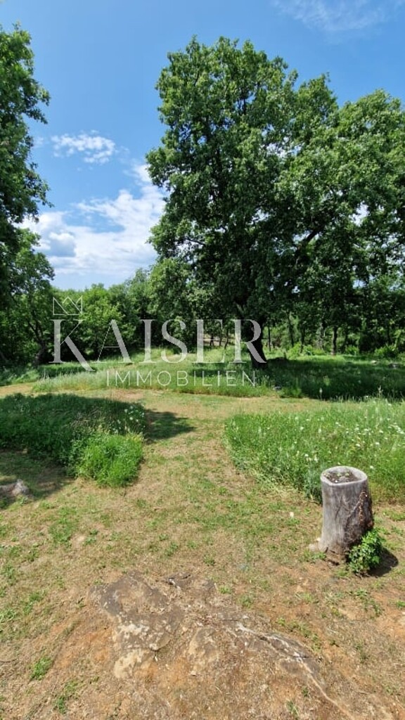Image 6102494 - 8