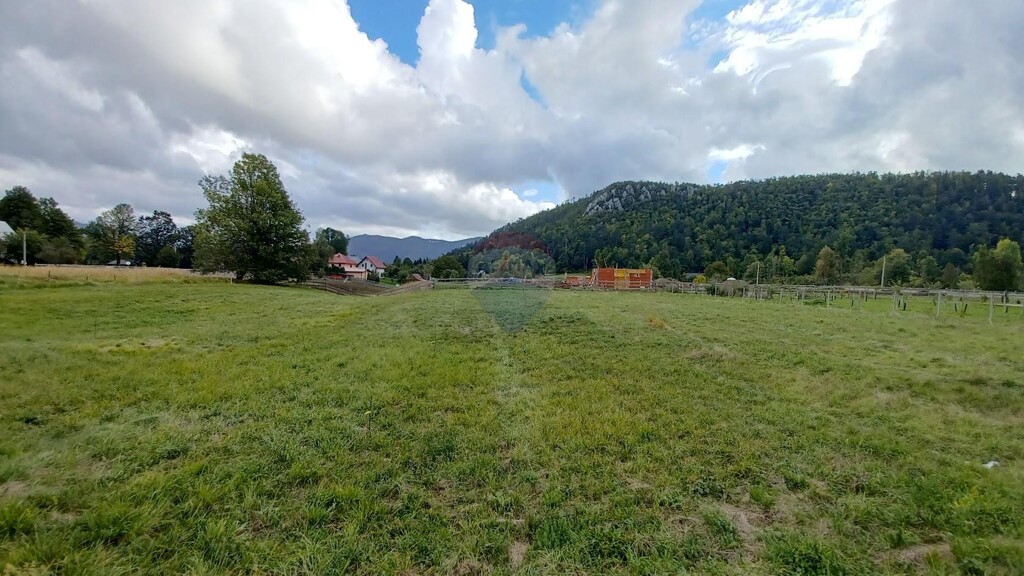 Image 5472211 - 1