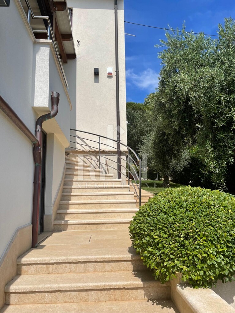 Image 22