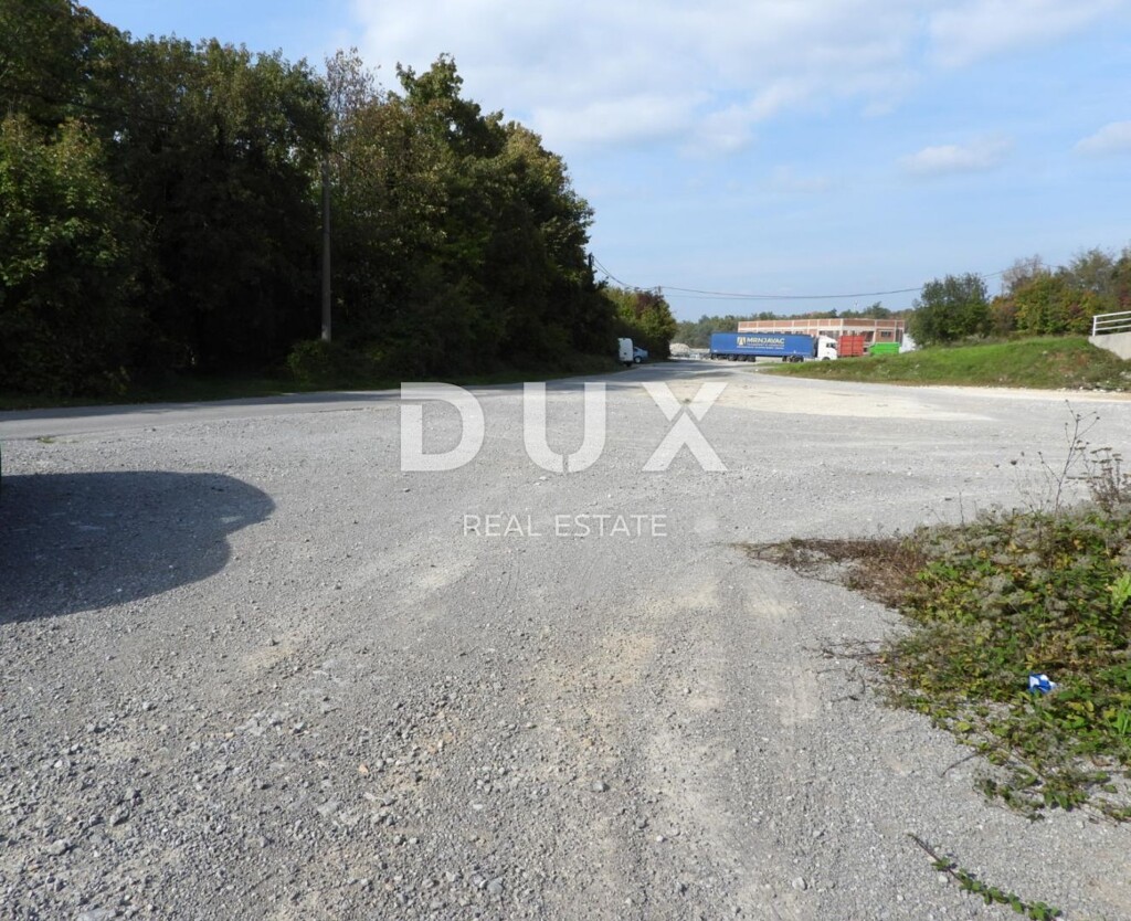 Image 12
