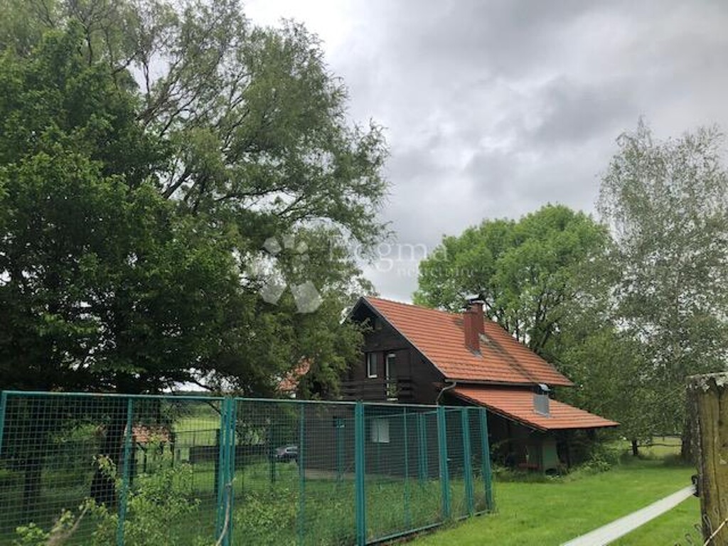 Image 20