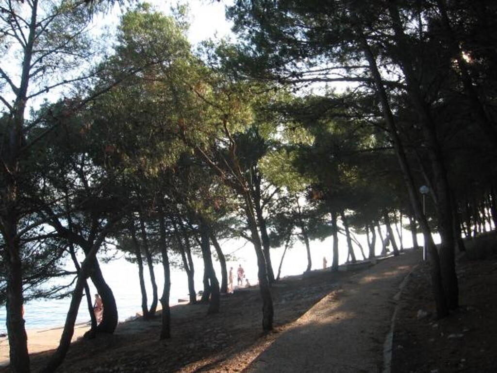 Image 3813295 - 16