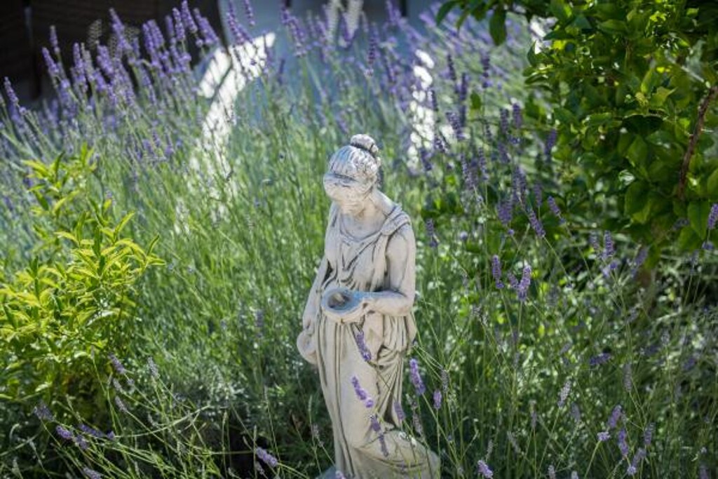 Image 3838616 - 21