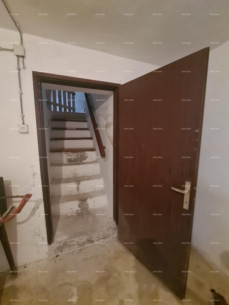 Image 22