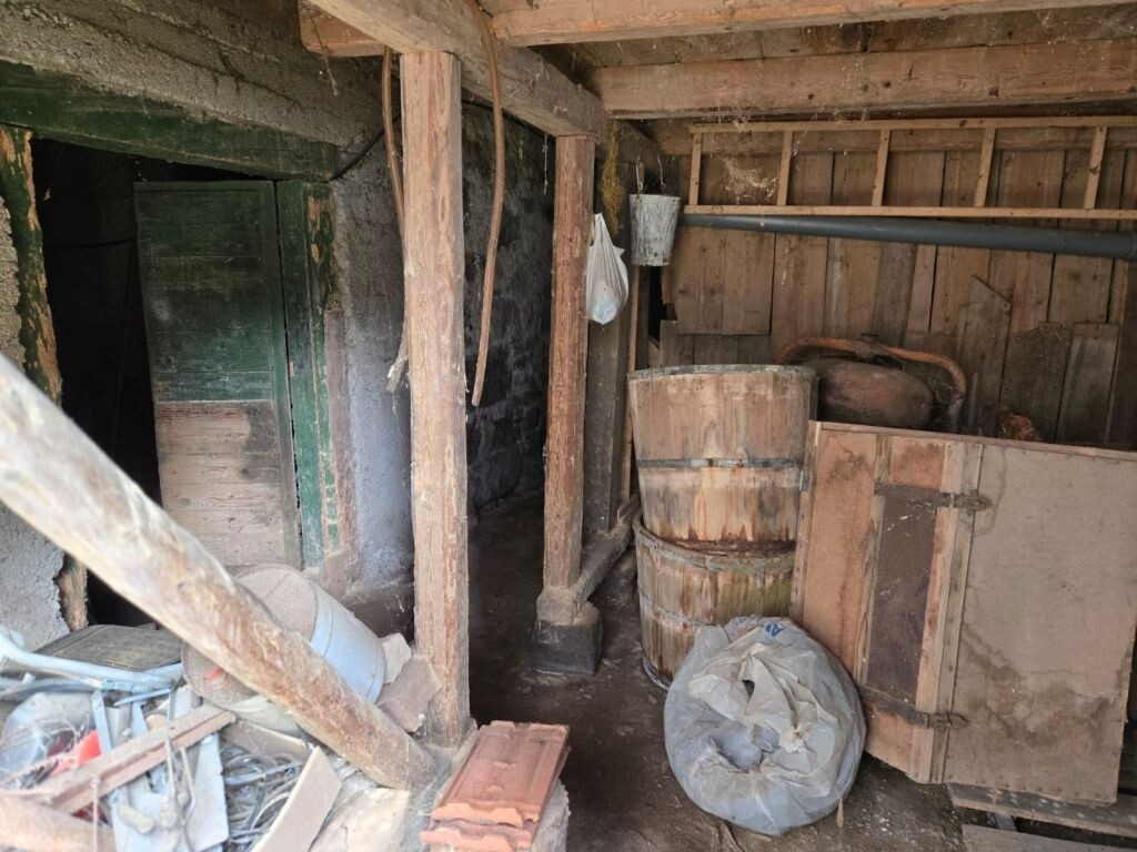 Image 13