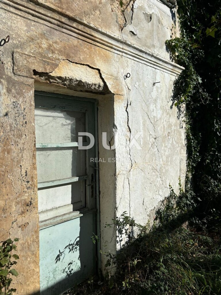 Image 14