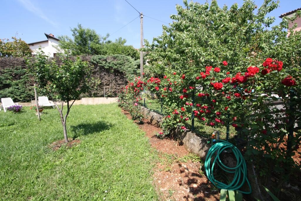 Image 3810547 - 13