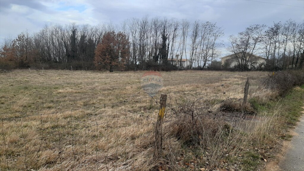 Image 5430237 - 1