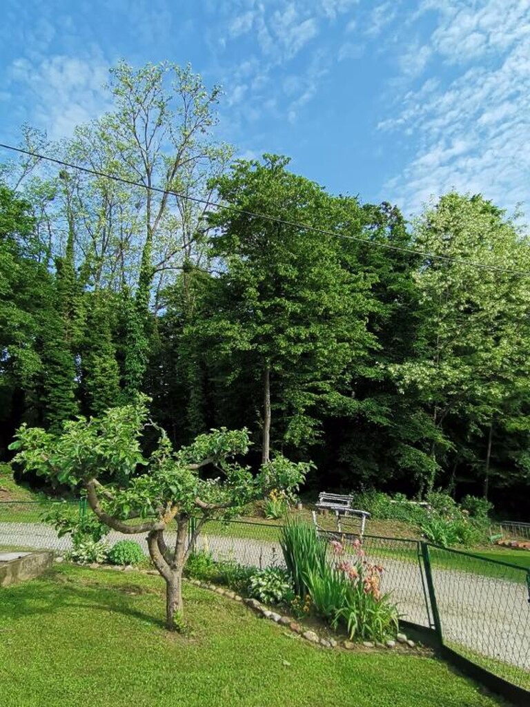 Image 3810542 - 13