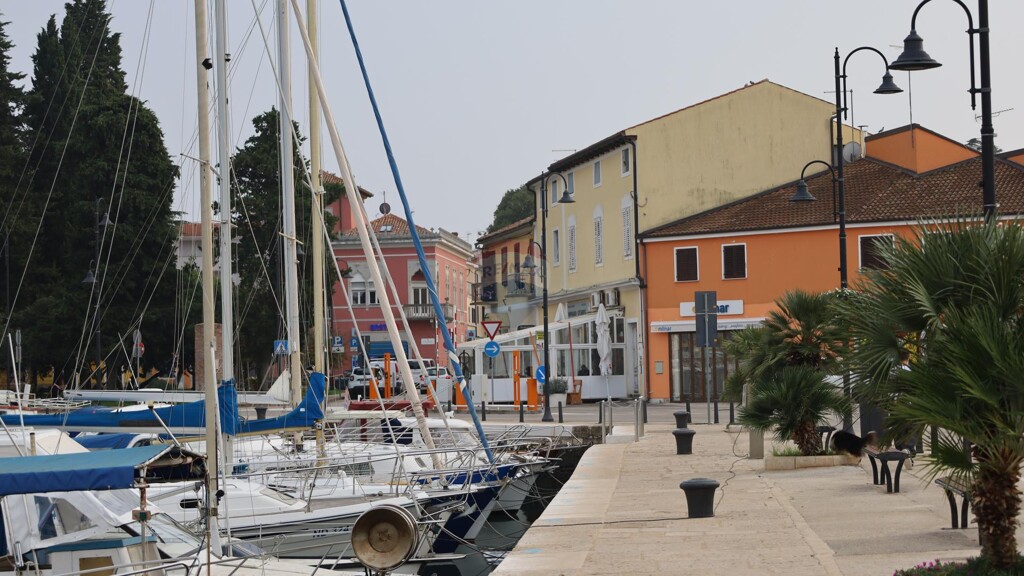 Image 13