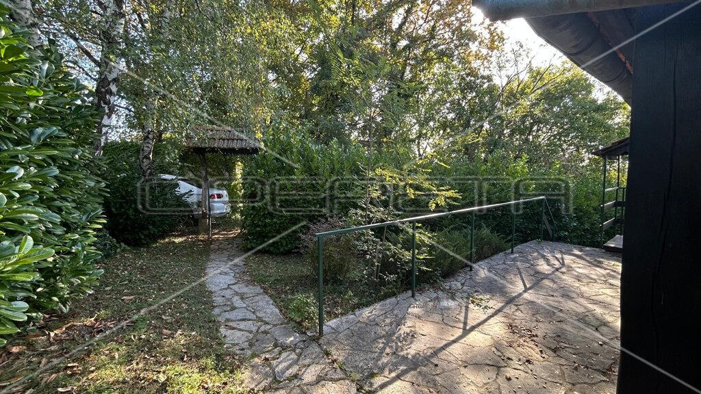 Image 13