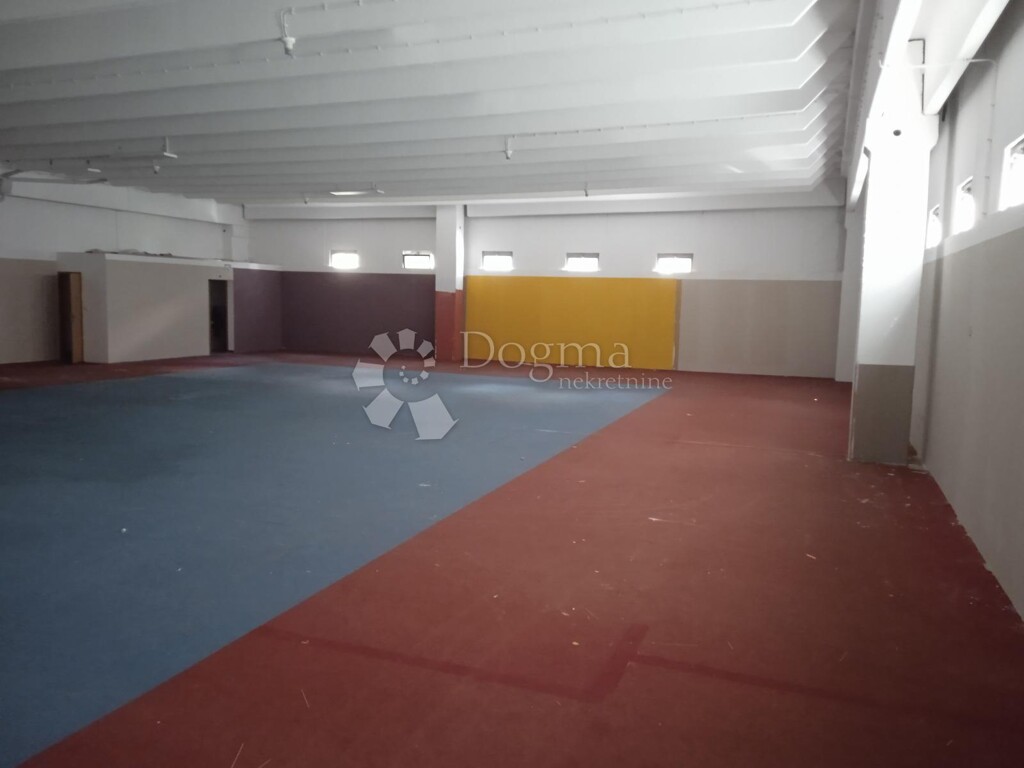 Image 8