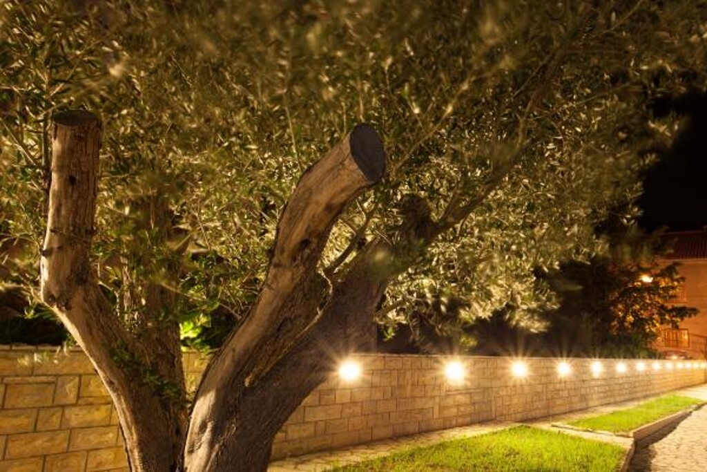 Image 3812432 - 5