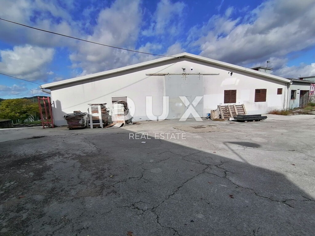 Image 12